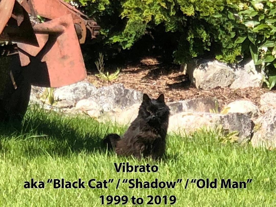 One last day of bathing in the sun and watching the birds that I'm too tired to chase.
