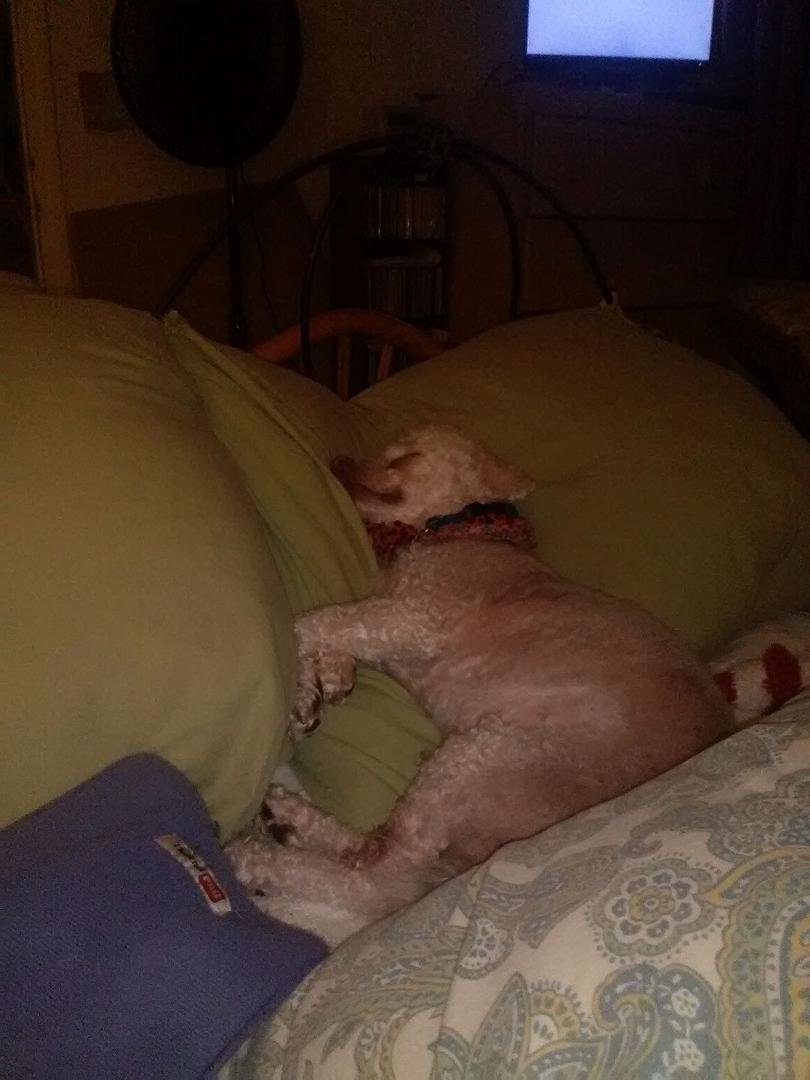 He isn't spoiled much,my 16 year old boy!