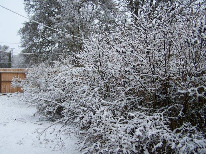 Edwin Benner's album, January 1, 2011