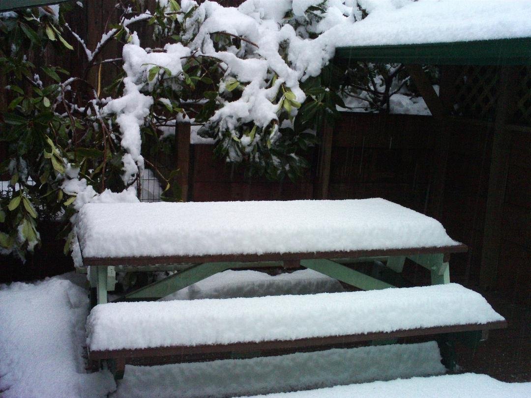 Sue Smith Miller's album, Timeline Photos