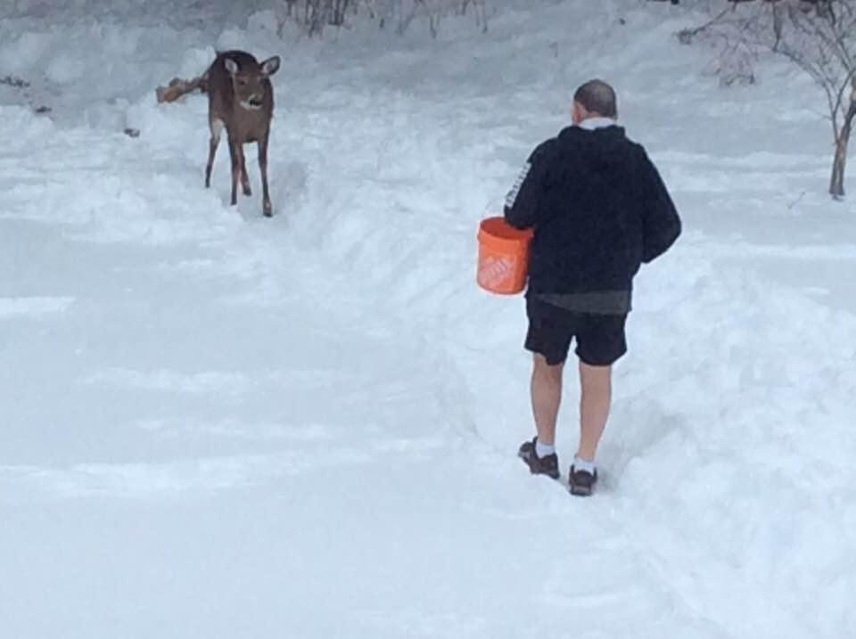 BJ MacLean's album, Timeline photos