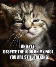Debi Gruver's album, Timeline Photos