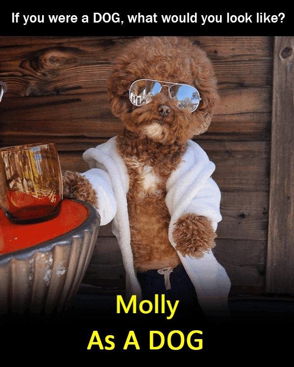 Molly Tekel's album, Timeline Photos