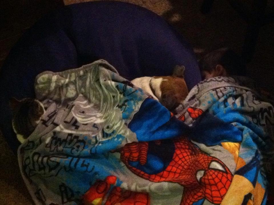 Peanut and john under the blanket with bb in the middle.