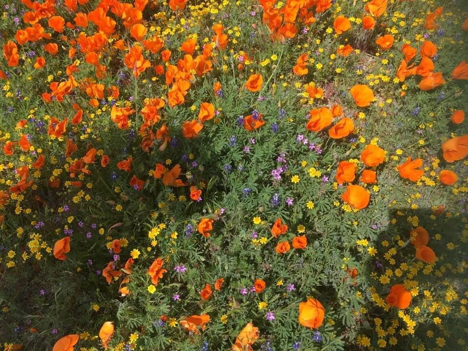 Penny Altman's album, Timeline Photos