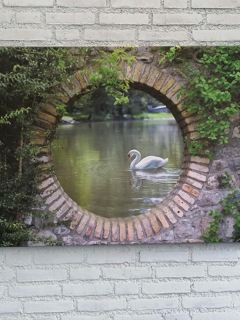Fons van Gulick's album, Omslagfoto's