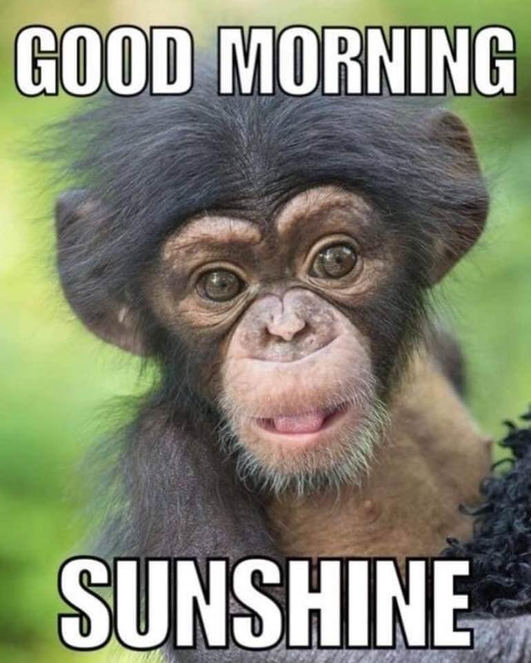 Richard Isgrigg's album, Timeline Photos