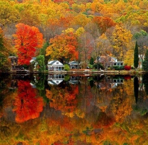 How could you not Fall in love with this view?
#homes #fall #whataview