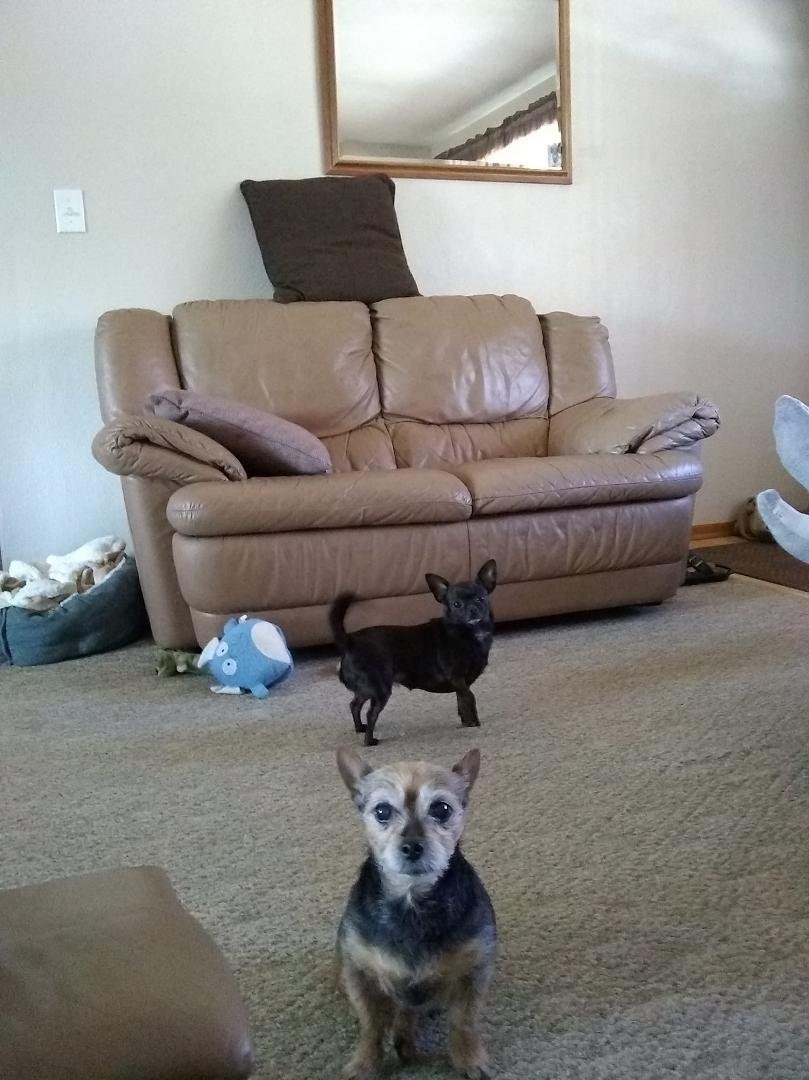 Our babies