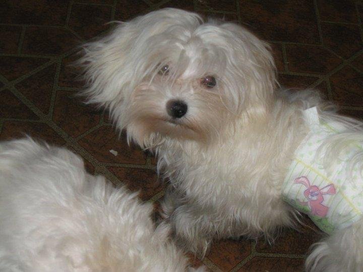 I'm Sammie and I'm all grown up too