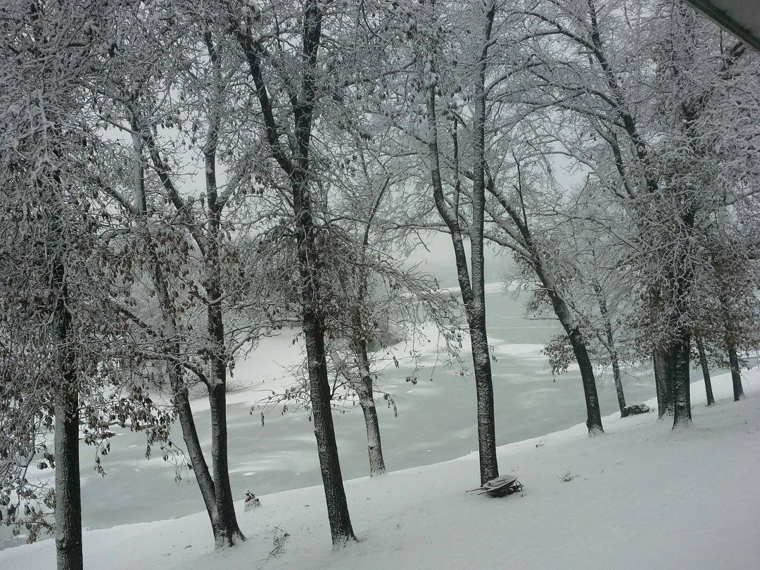 Susie McMillen's album, Timeline Photos