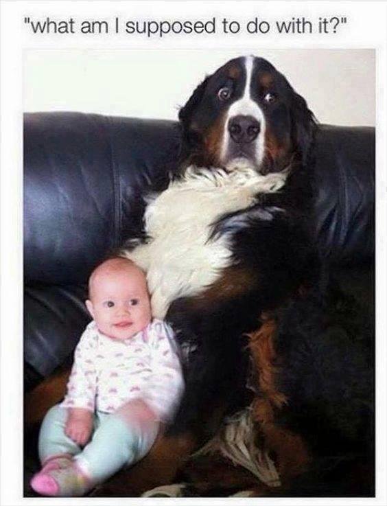 Peter Schneider's album, Timeline Photos