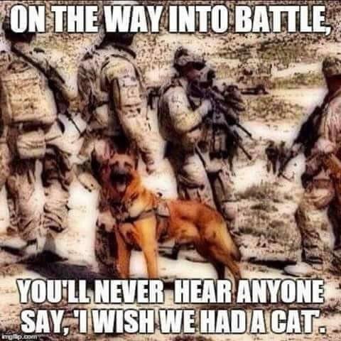 Thomas Rooney's album, Timeline Photos