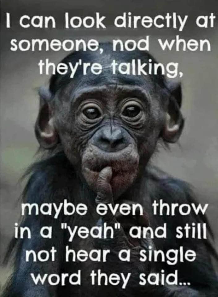 Travis Gneiting's album, Timeline photos