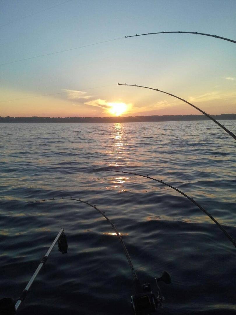 david schulteis' album, Timeline Photos