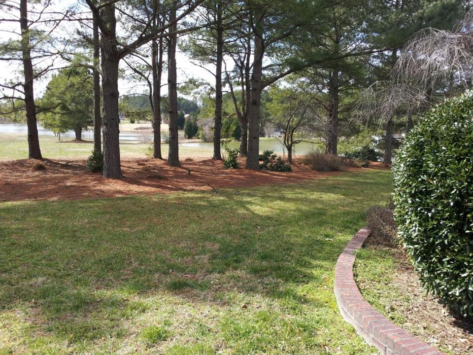 Jennifer Connett's album, NC Home