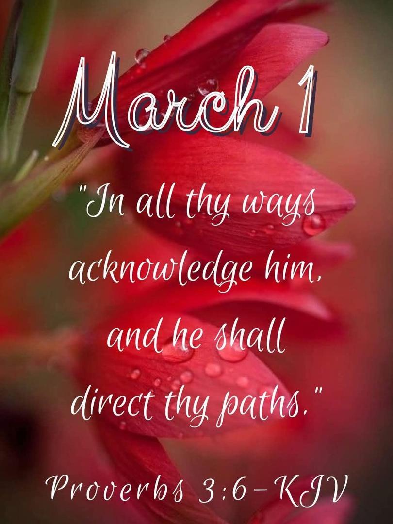 Michael Sparks' album, Timeline photos