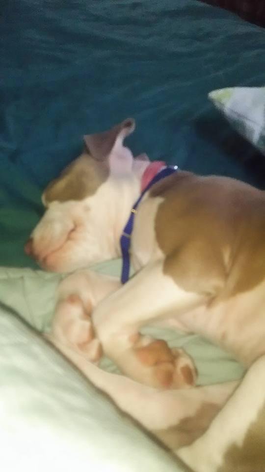 Worn Out from playing with Grandkids !!!!!!!!