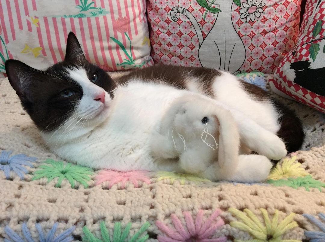 Happy Easter!