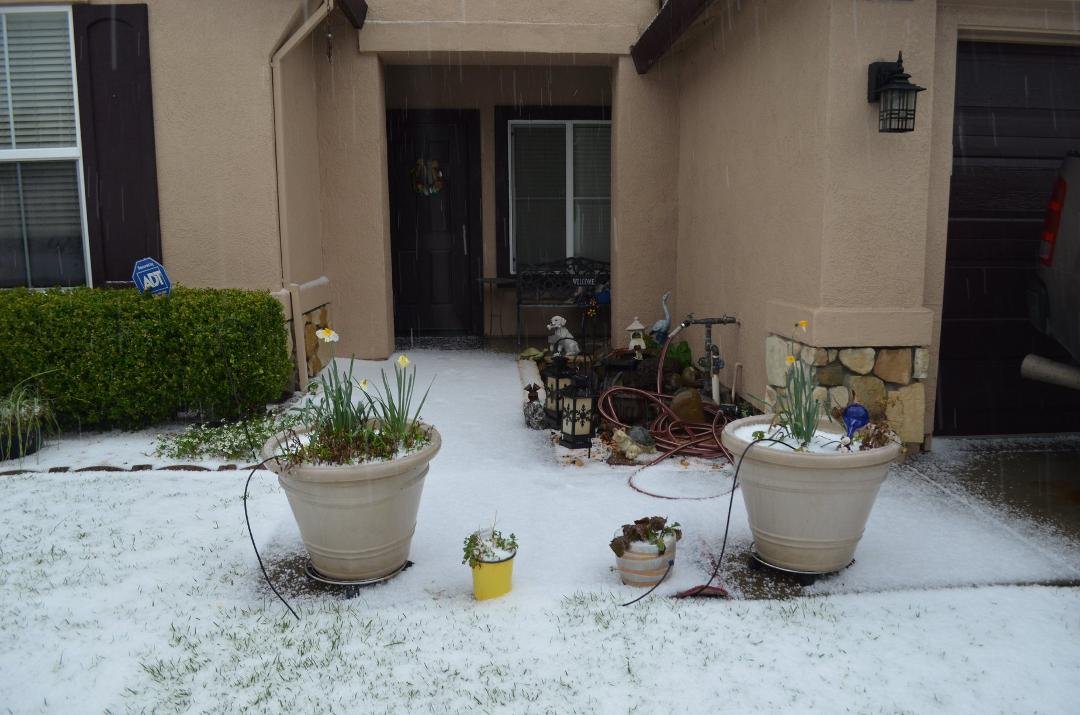Wayne Johnson's album, Timeline Photos