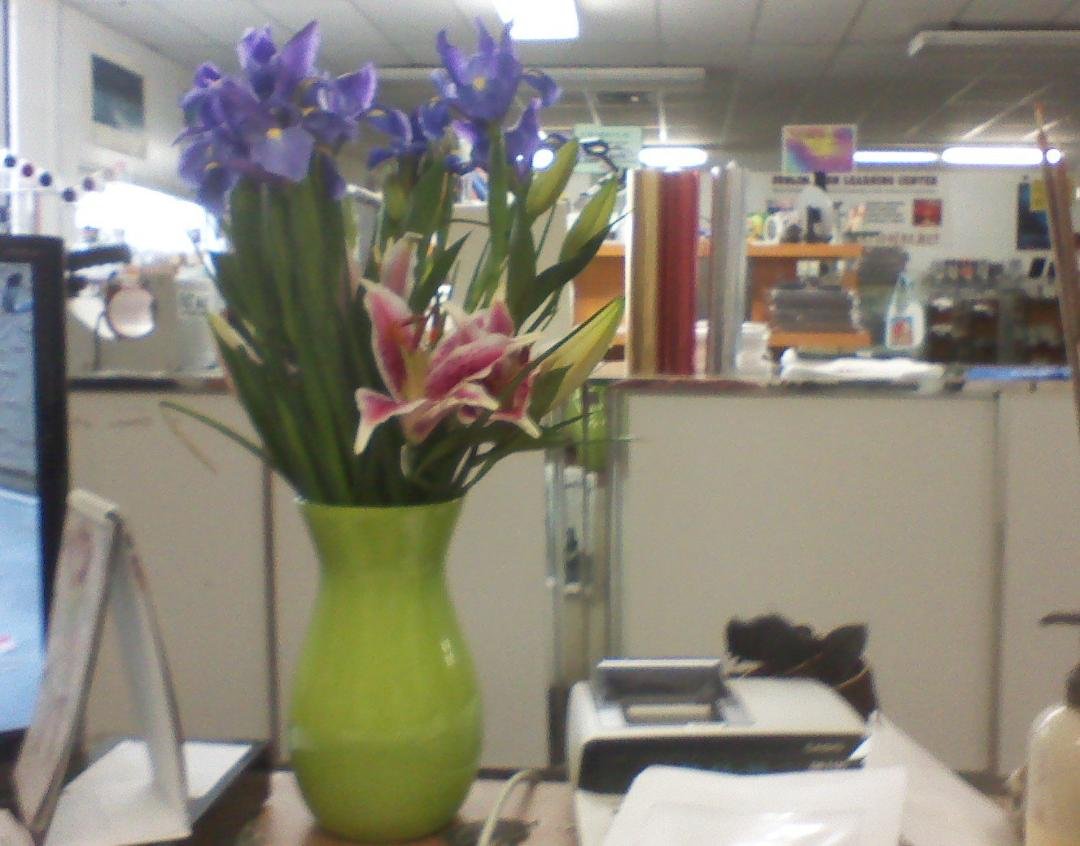Esther Goodman's album, May 6, 2011