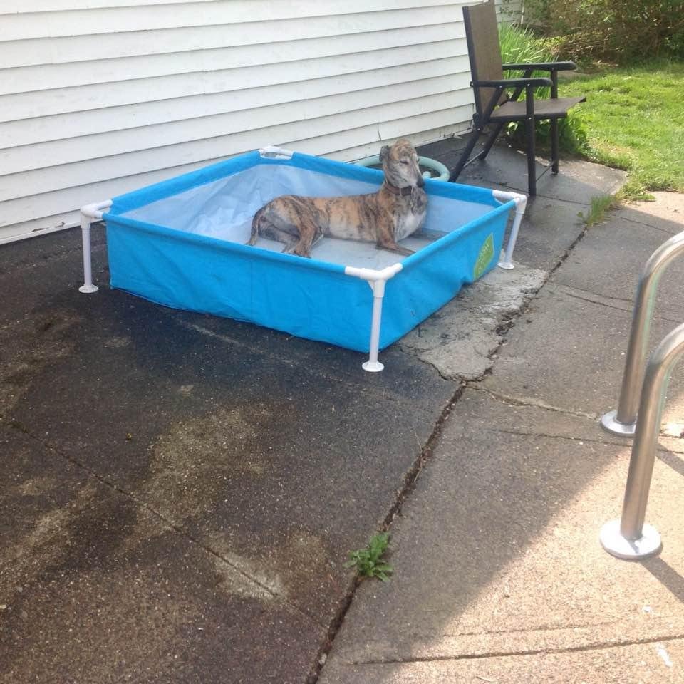 Ninnie in her pool.
