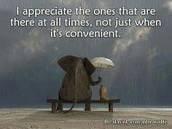 Beth Leggate's album, Timeline Photos