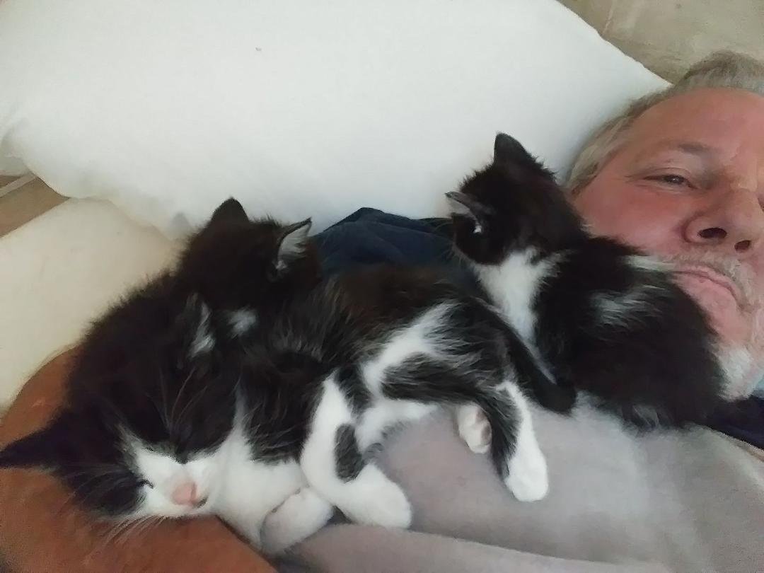 Momma Cat is off doing cat things....
I am just a cat mattress...