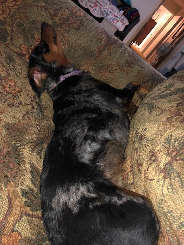 Passed out lol