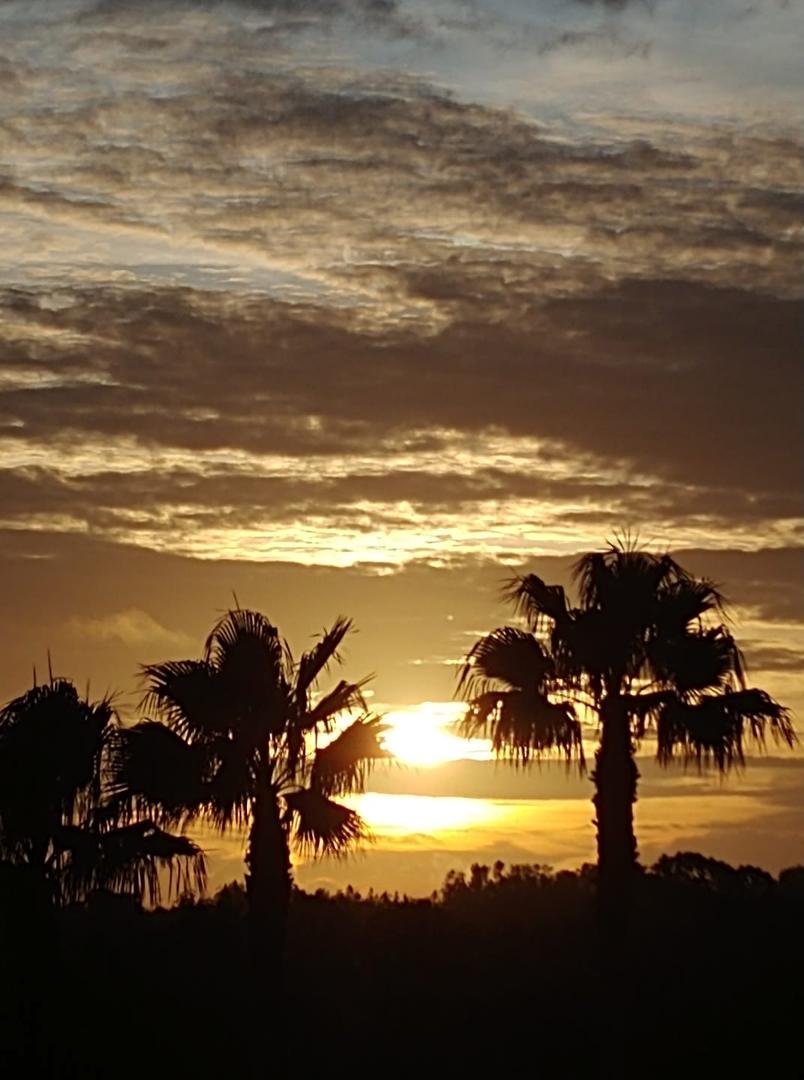 Another beautiful sunrise in New Port Richey