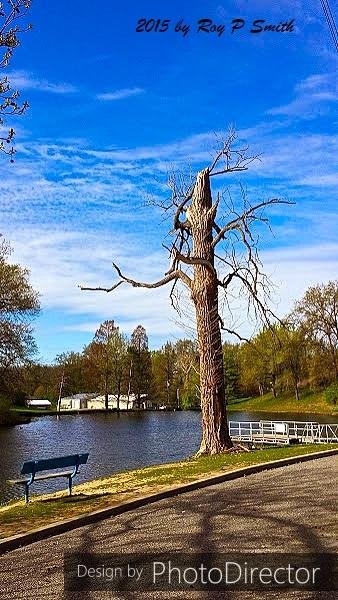 A picture that I took at Woodland Park on 15 April, 2015.