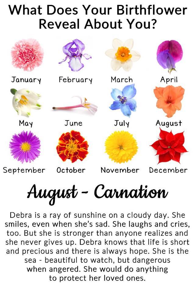 Debra Flaherty's album, Timeline photos