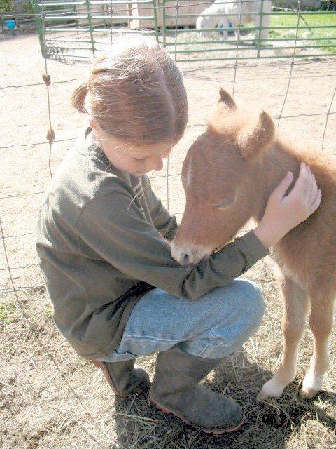 The Horse Whisperer
