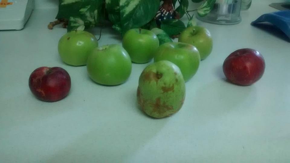 A bumper crop this year, the one in front is a pair.