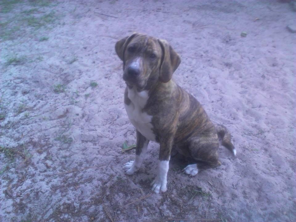 My baby that is getting to big and is spoiled rotten.