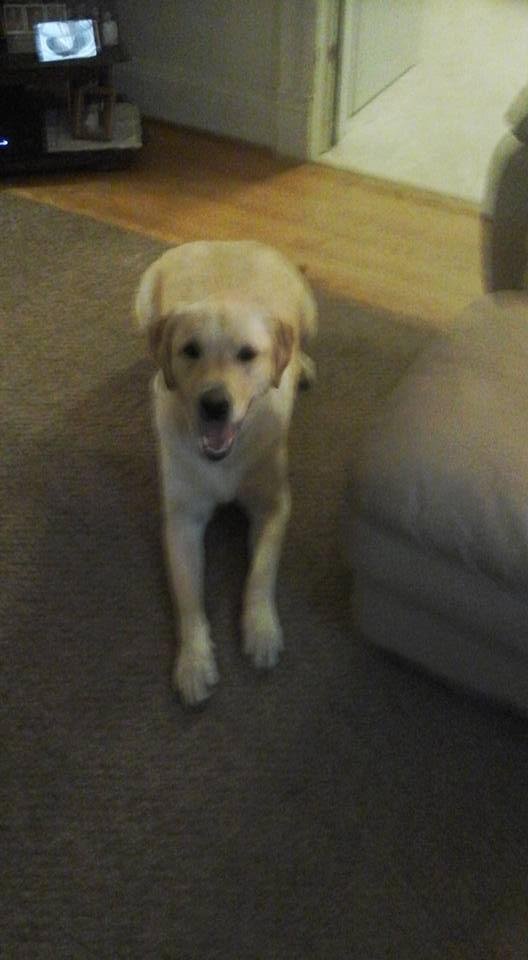 That's my baby