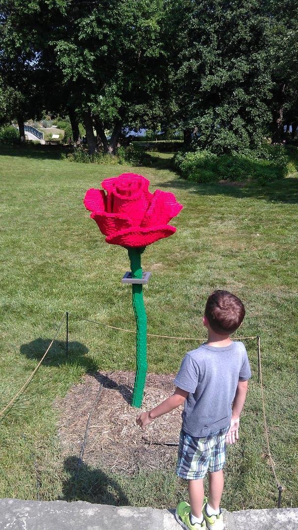 Joe Alsman's album, Timeline Photos