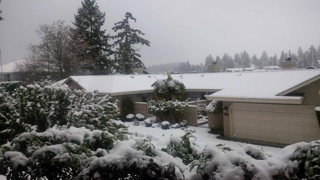 Someone forgot there are bylaws against this white stuff in Victoria.