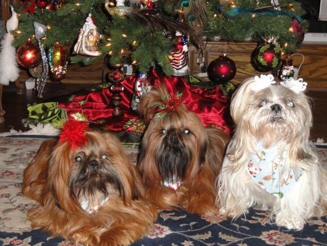 Wishing all of my friends and their families a very Merry Christmas!