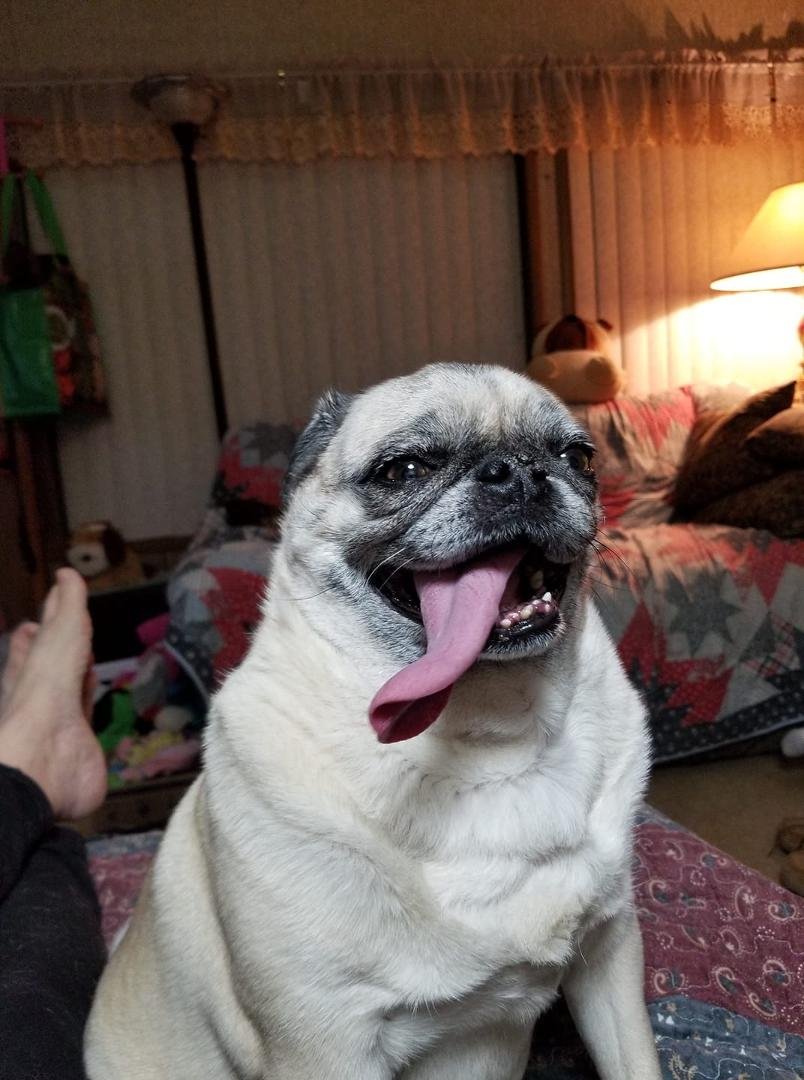 Yes that is her real tounge