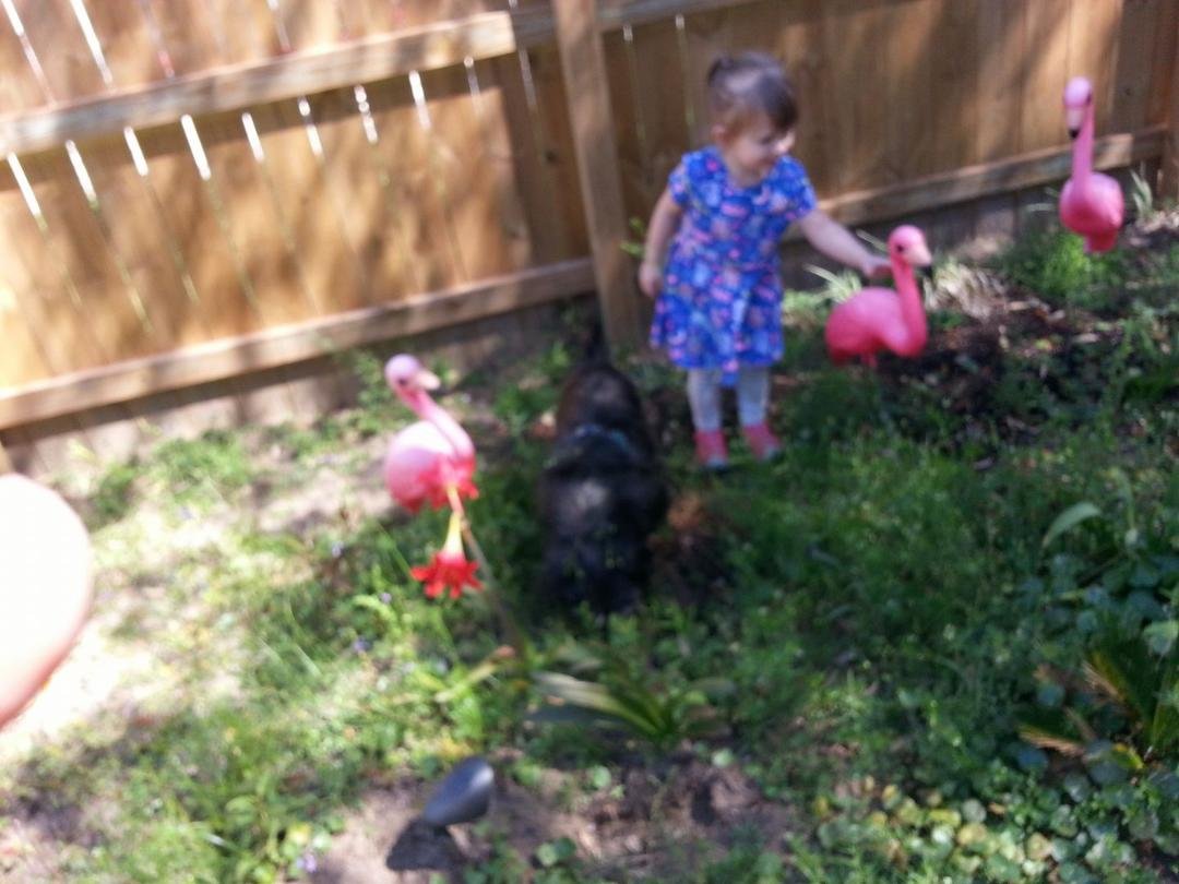 Tana Dampier's album, Timeline Photos