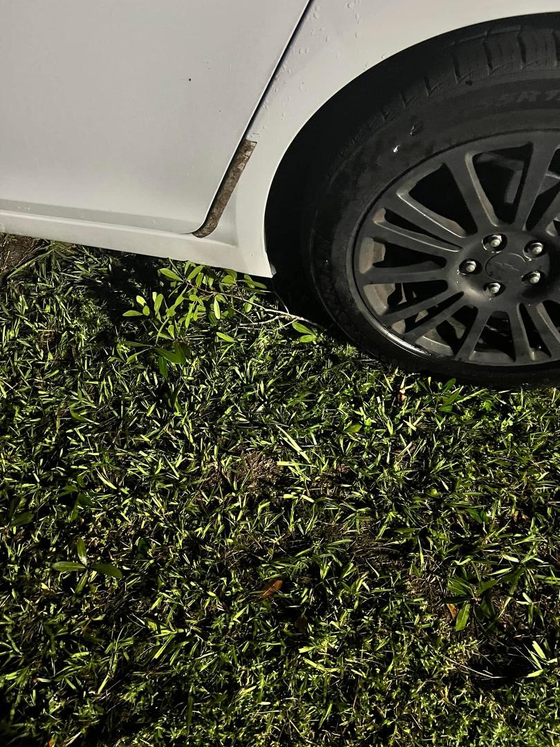 Almost couldn’t go to work with the tree branch under my car.