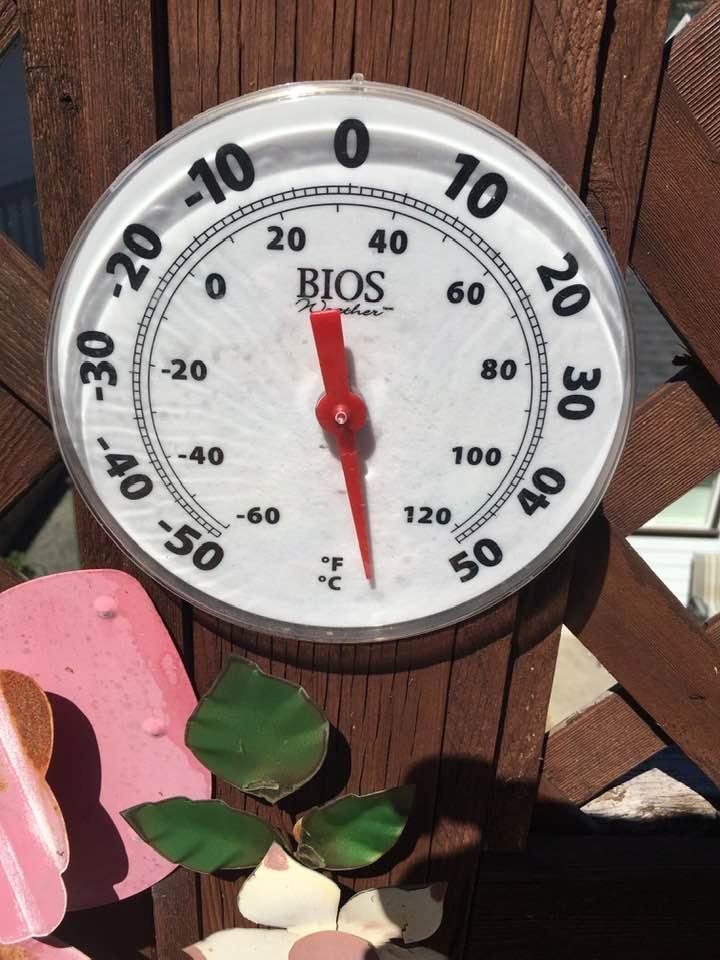 I know this was right in the sun but we are having crazy heat