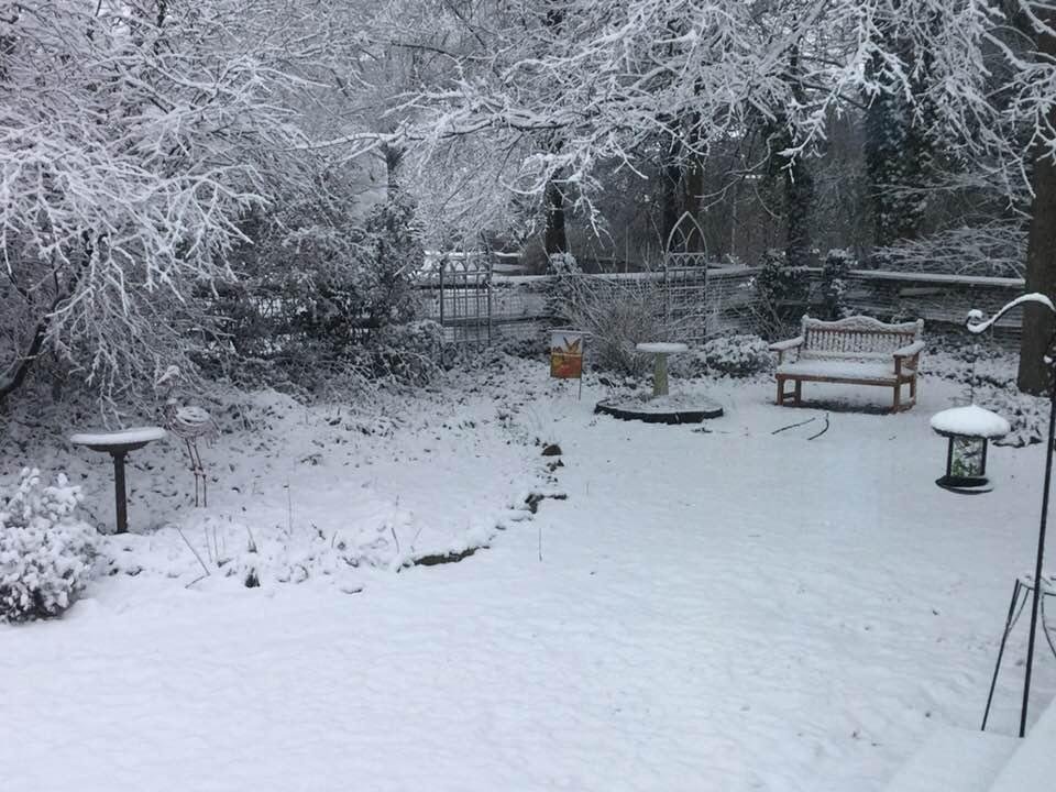 A peaceful winter morning at home