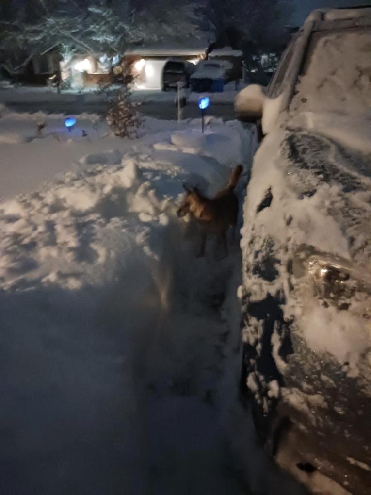 56 degrees today here but Feb. 22nd 2 weeks ago looked like this 2 feet of snow