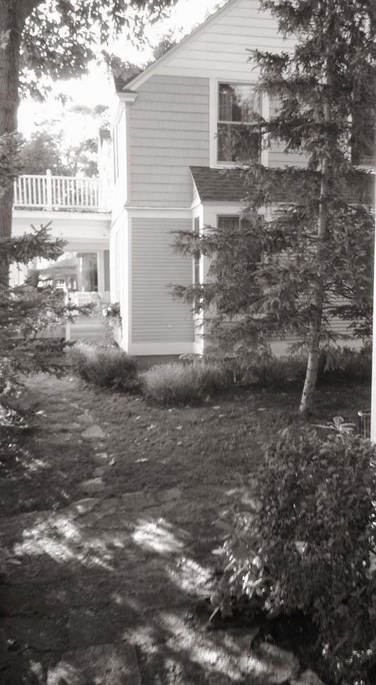 Phyllis Codlin's album, Mobile Uploads