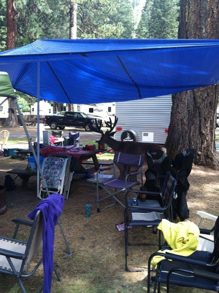 One of many that came in the camp.
