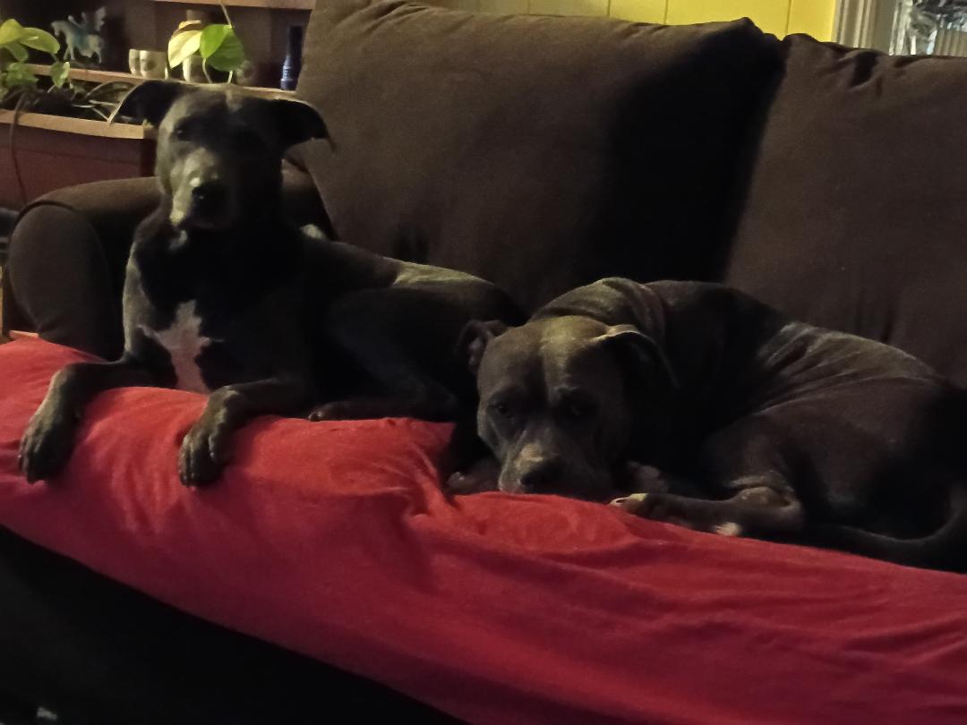 These 2 are up to No Good...