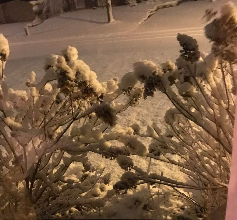 It’s snowing for f..... sake. It’s supposed to be spring!!!