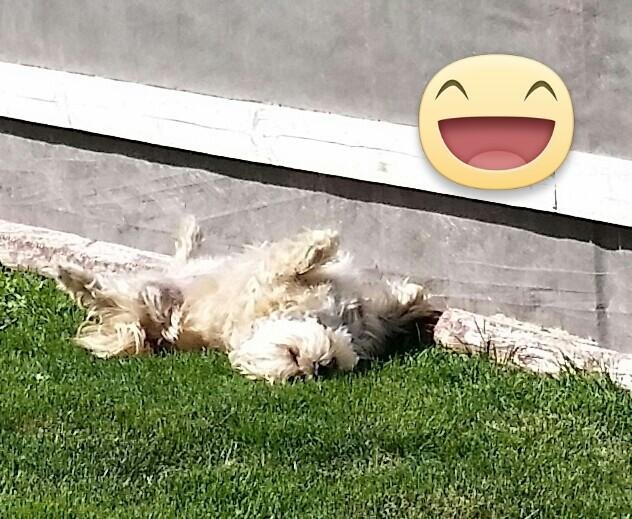 My baby girl enjoying the weather.